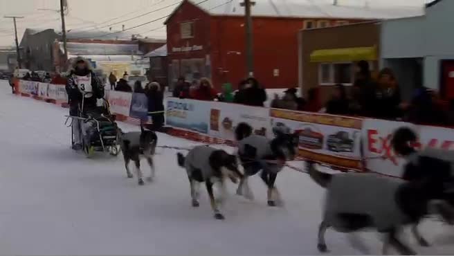 25th Musher Into Nome is Paige Drobny